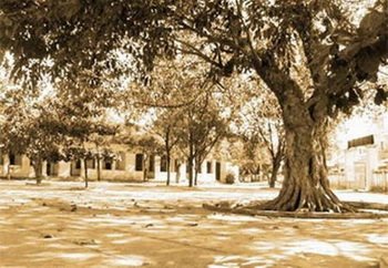 Tất cả mọi giáo viên dạy ở cái vùng ven biển này đều có cùng một mục đích tối hậu “tìm đường cứu nước” (ảnh minh họa)