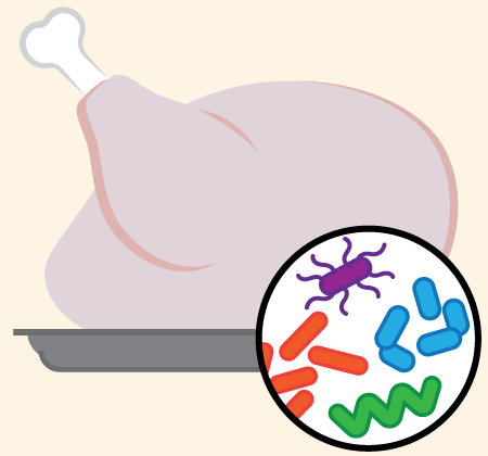 GermyPoultry