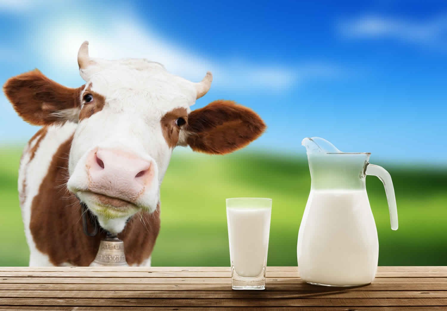 bovine-somatotropin