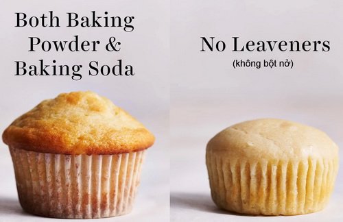 baking-powder-vs-baking-soda.